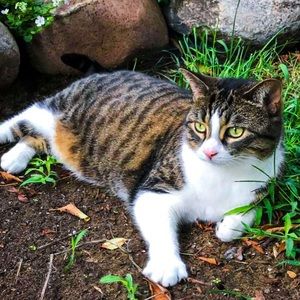 Meet your Posher, Devin